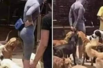 What It Really Means When Your Dog Sniffs Your Genital Area