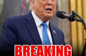 Trump looked straight at reporters and said the quiet part out loud…See more